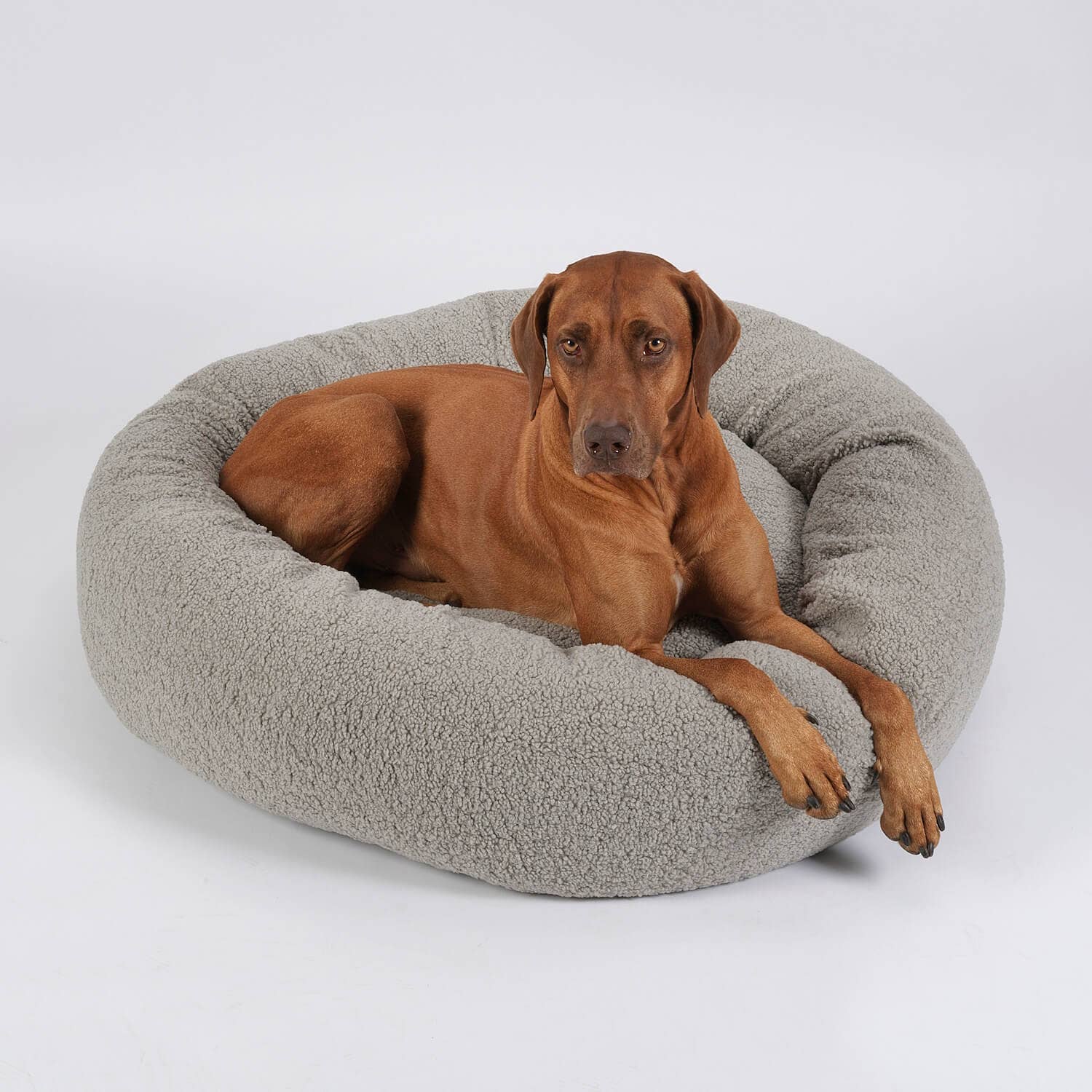 DOGS in the CITY® - Venta al por mayor Cama - Perros - Cojín para perro tipo donut LOOP Paddy mouse2