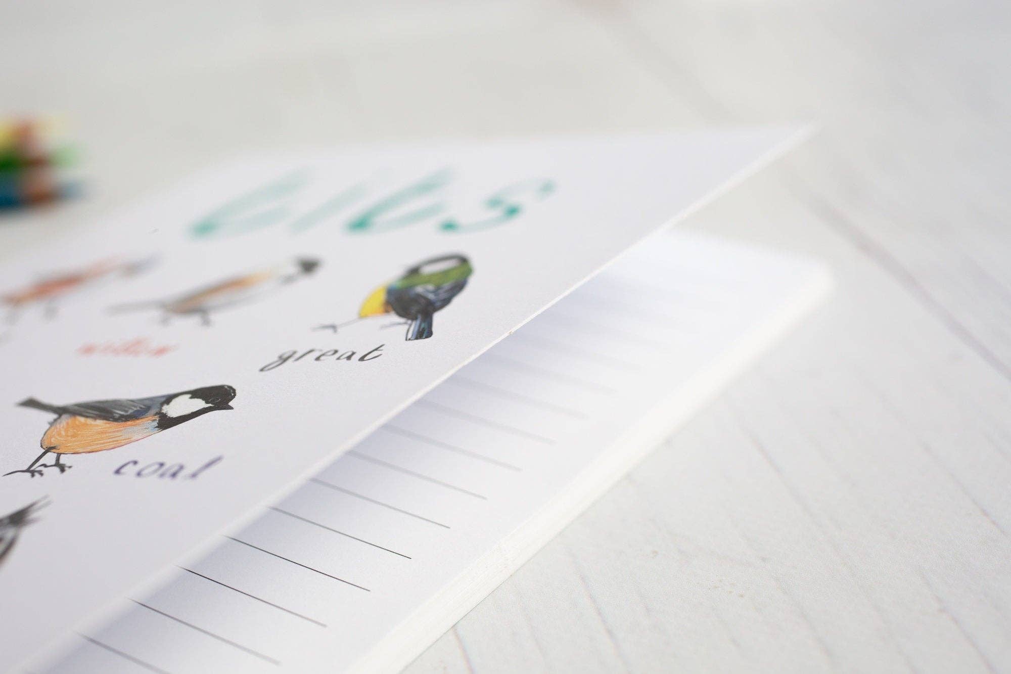 Sarah Edmonds Illustration – Caderno por atacado – Caderno de Pássaros Reciclado Titos A57