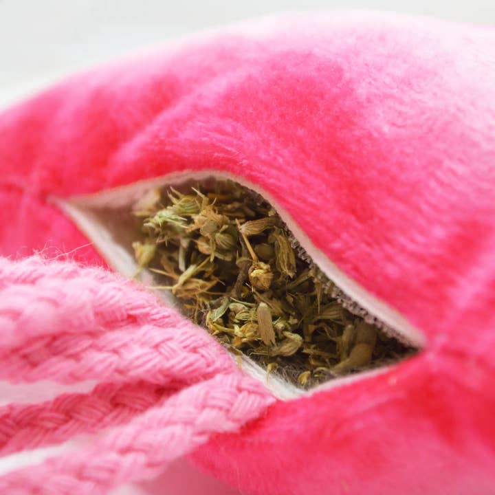 SmarterPaw | Meowijuana & Doggijuana - Wholesale Pet Toy - Cat - Meowijuana® Get Floated Jellyfish Refillable Cat Toy3