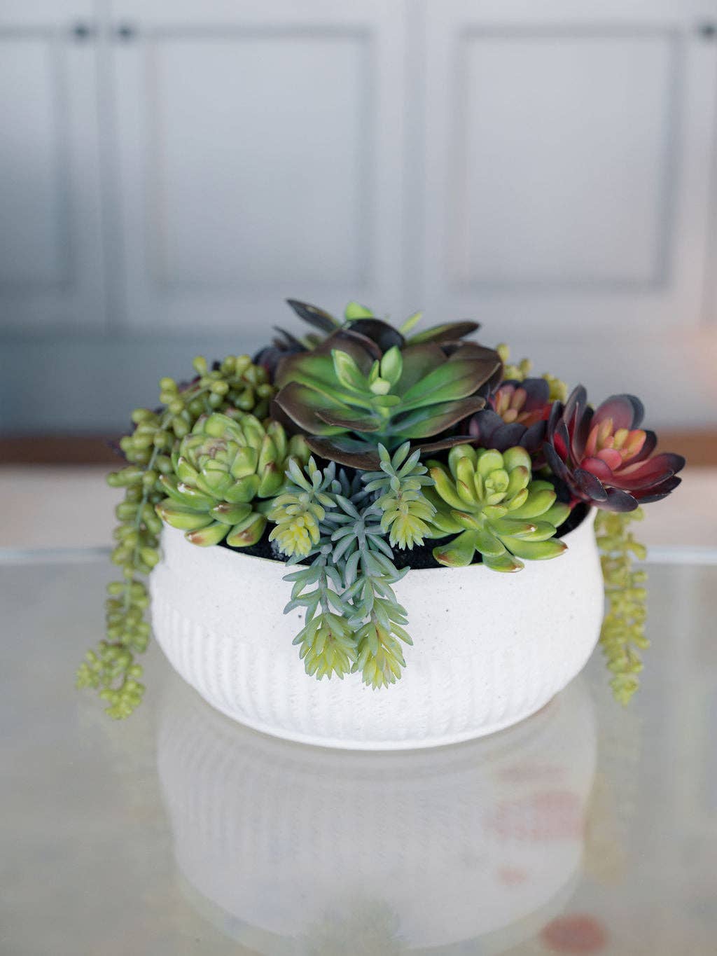 CG Hunter - Wholesale Succulent - 12" Succulent Arrangement2