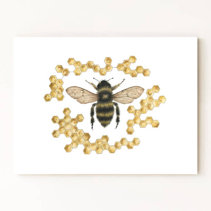 Bumble Bee & Honeycomb Print for wholesale by Jess Vartanian Illustration & Design