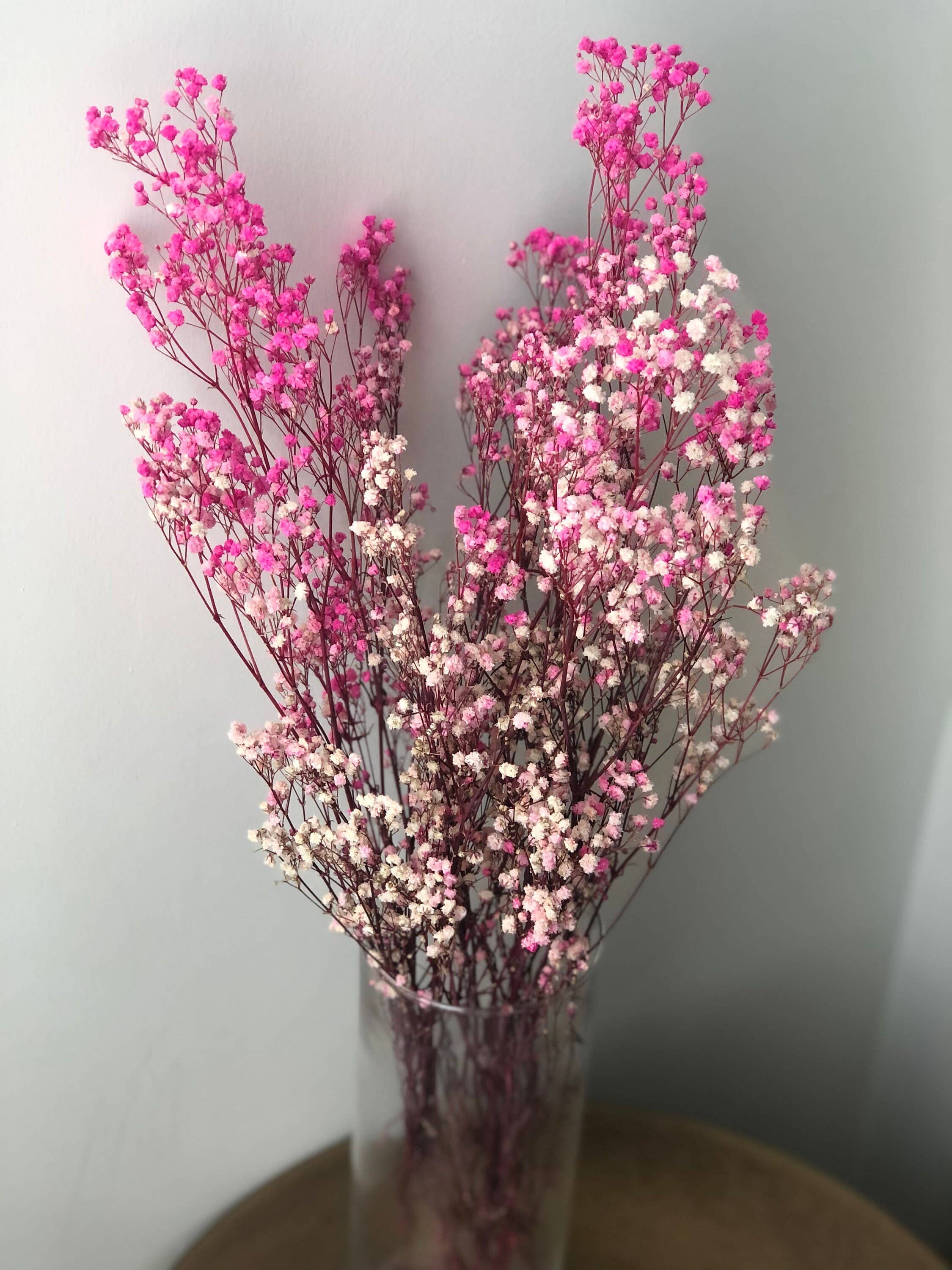 MY BOUQUETS – wholesale Dried/pressed flowers – Baby's Breath, Gypsophila Preserved Pink Color, Dried Flower2