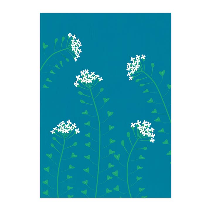 Postkort "Læge-Karse" for engroshandel hos paruspaper. nutzfeine papeterie