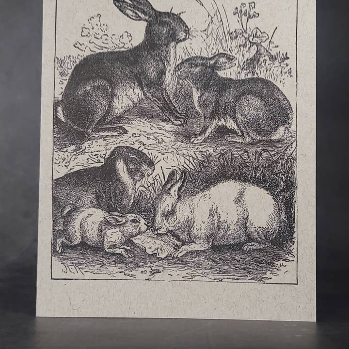 Superior Dry Goods - Wholesale Everyday Greeting Card - "Rabbits" Recycled Greeting Cards | Handcrafted2