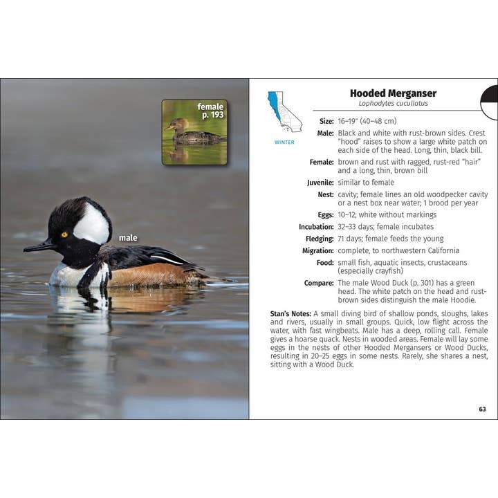 AdventureKEEN - Wholesale Nature & Outdoors - Birds of California Field Guide 2e4
