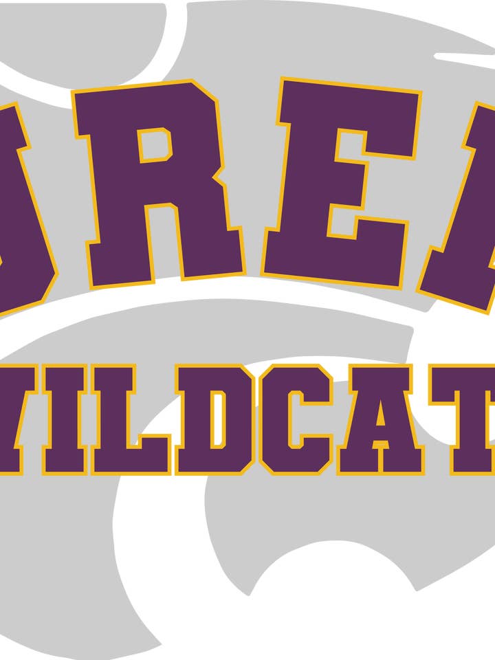 Shadow Team, Town, Mascot Custom T-Shirt for wholesale by TRN Custom