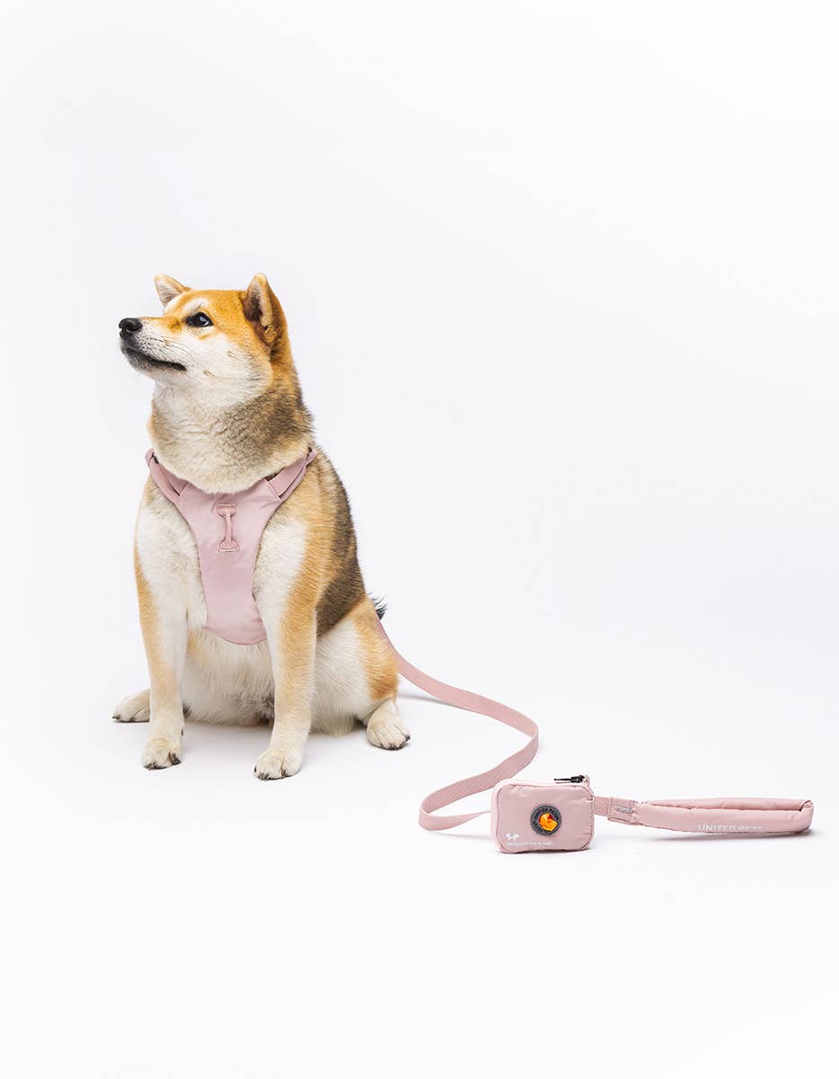 United Pets - Wholesale Hondenriem - Hond - Zachte hondenriem met gewatteerd handvat8