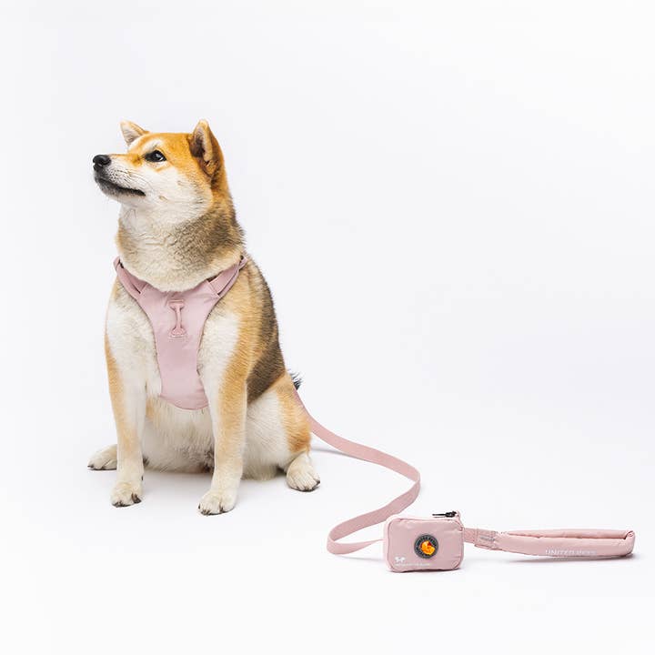 United Pets - Wholesale Pet Leash - Dog - Dog Padded Soft Leash8