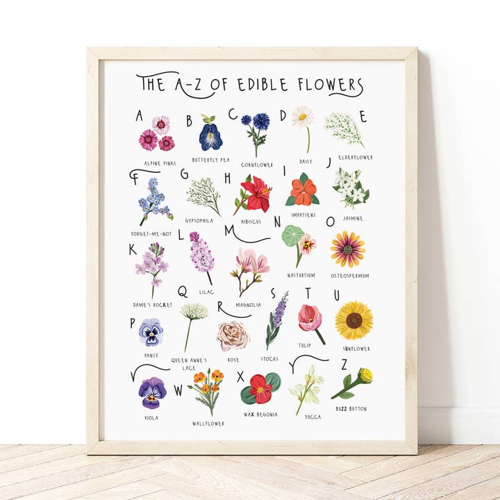 The A-Z of Edible Flowers Print for wholesale by Bea Baranowska Illustration
