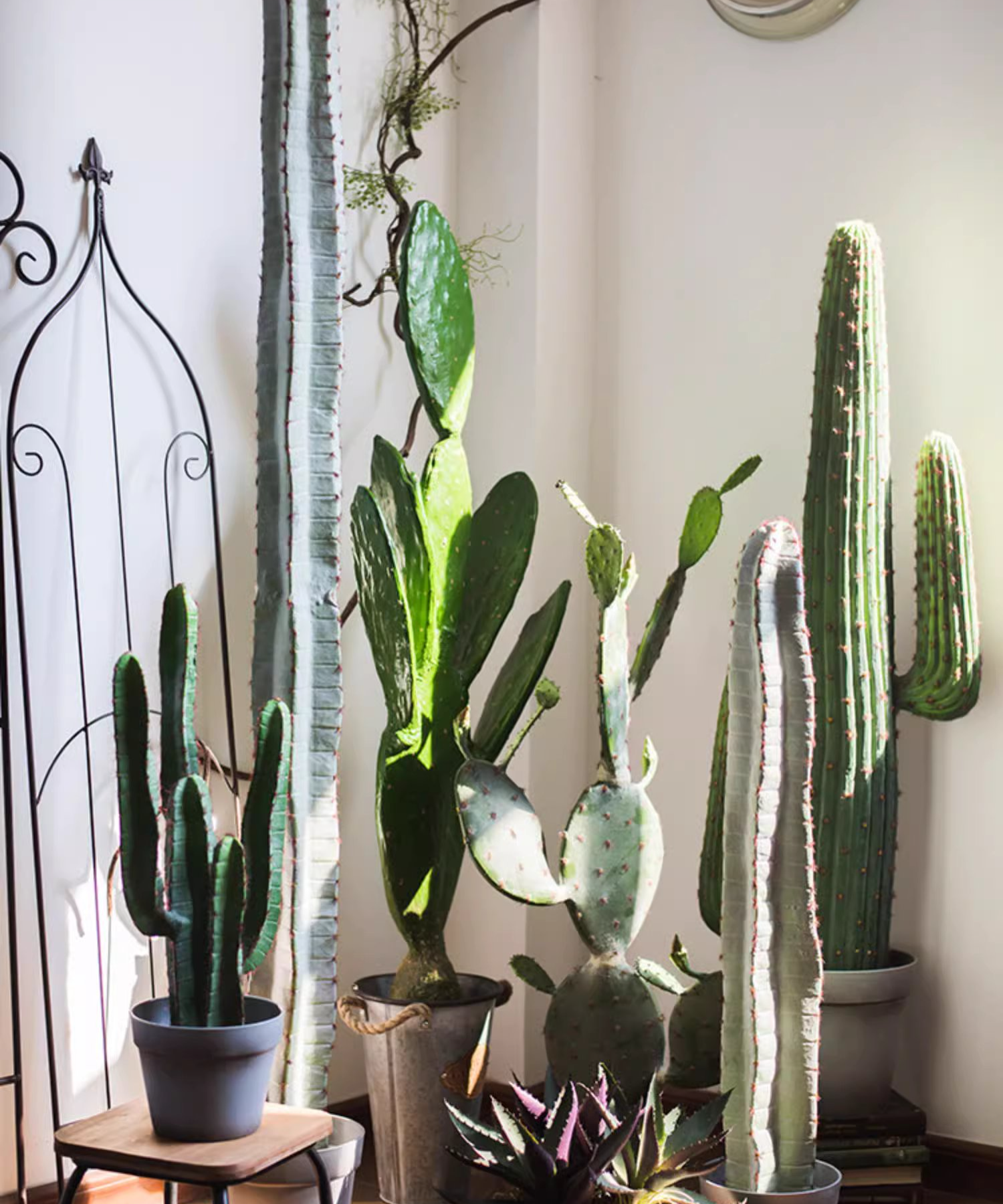 Rustic Reach - Wholesale Artificial Plant - Artificial Cactus in Pot Various Styles8