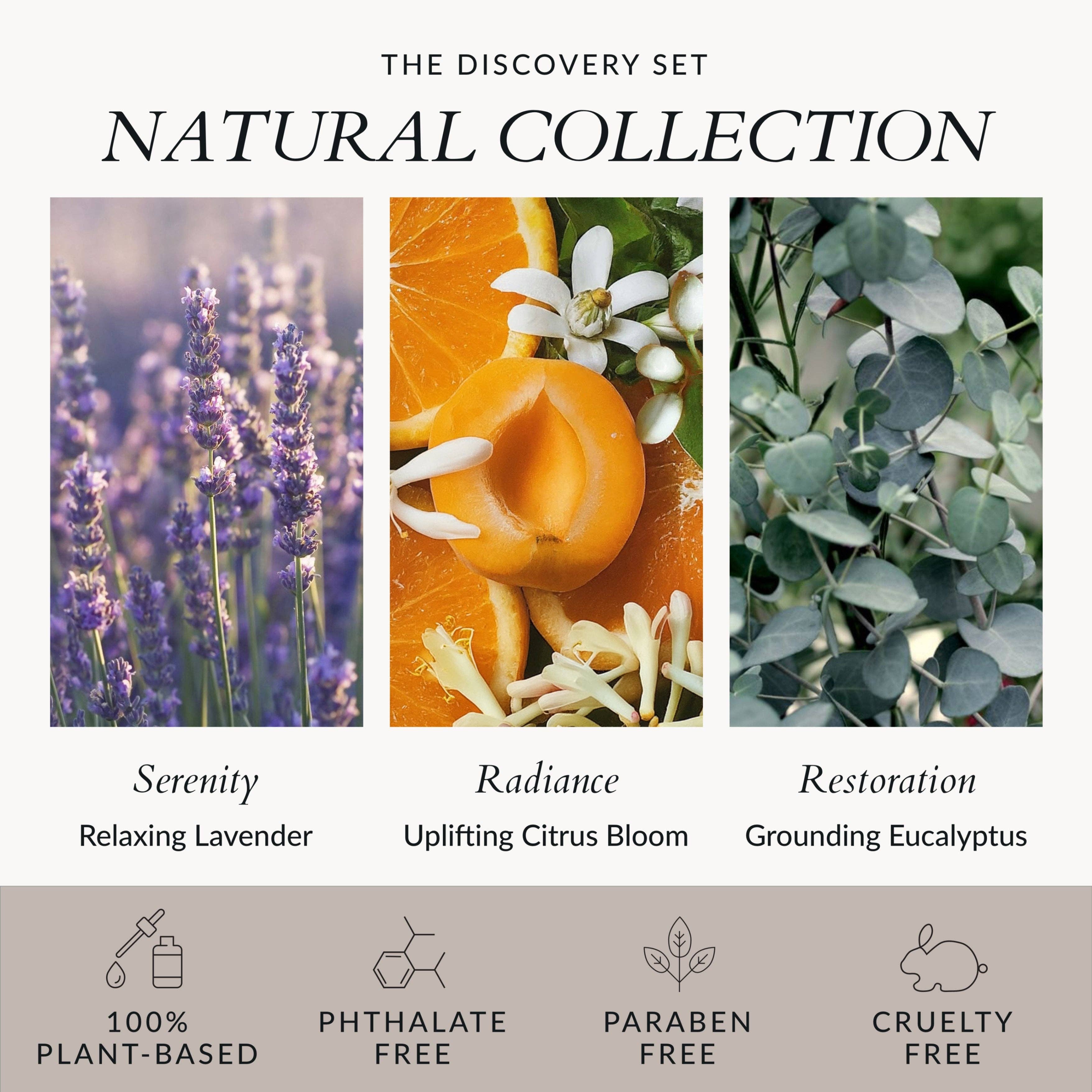 Jazeena - Wholesale Bath & Body Set - Body Serum Candle Set | Giftable, Trial-sized 3x1oz8