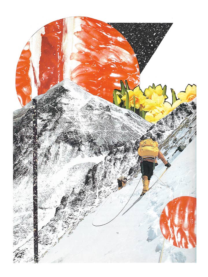 Grape Climb Print voor wholesale door Elisabeth Grace