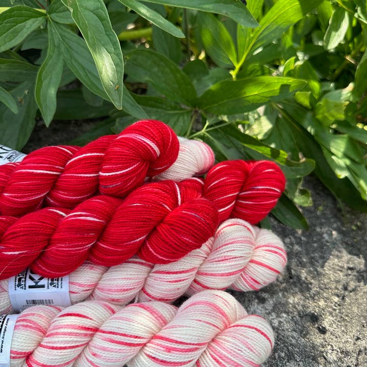Canada Day Hand-dyed Yarns for wholesale by Koigu Wool Designs