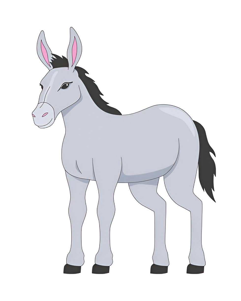 OHbain ! - Wholesale Bar Soap - Authentic Marseille soap with donkey milk1