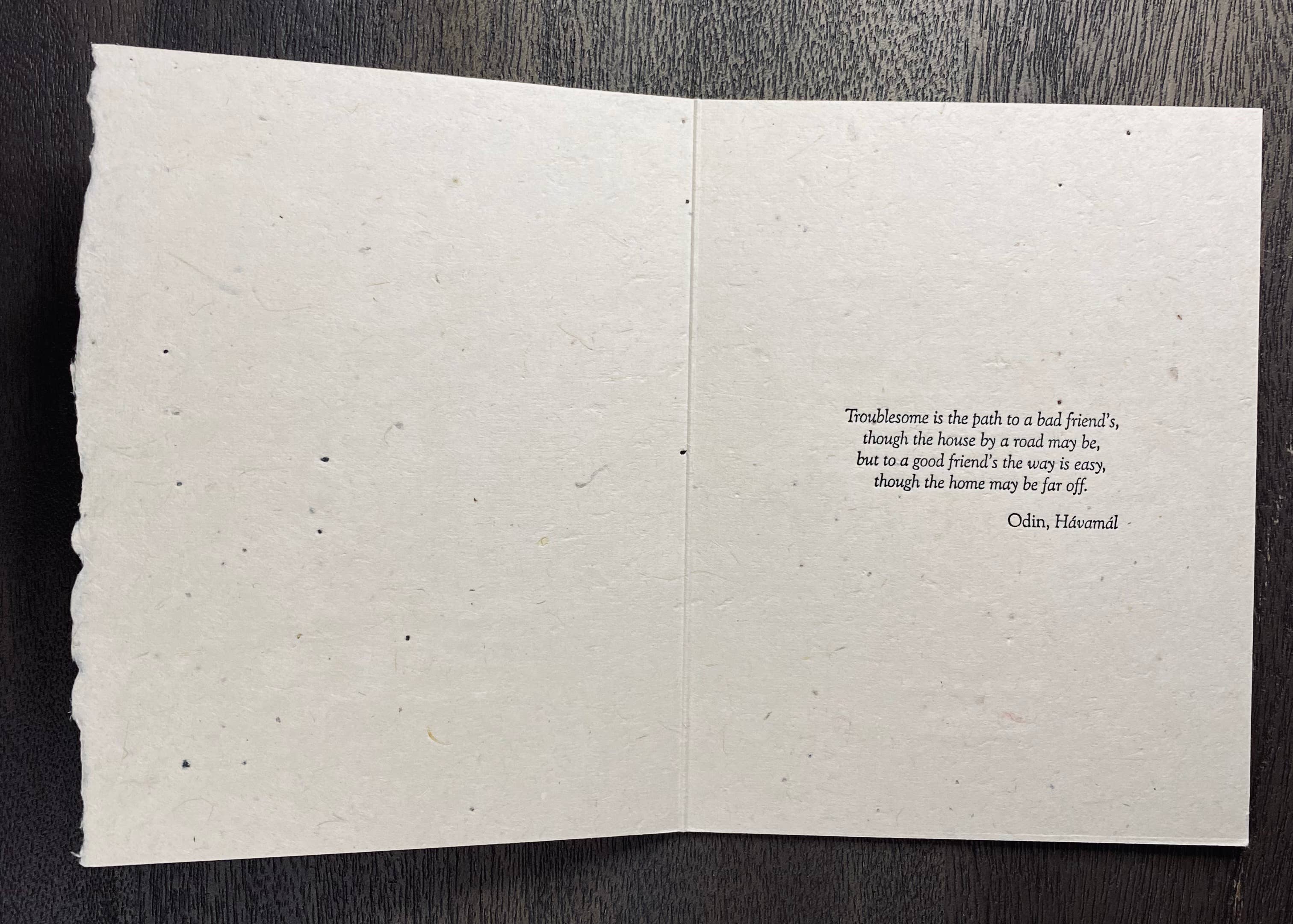 Hyldyr - Venta al por mayor Tarjetas de felicitación - Tarjeta plegable Hávamál Traveler (semillas de flores silvestres de América del Norte)3