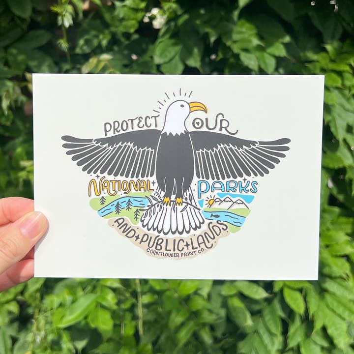 Postcard | National Parks for wholesale by Cornflower Print Co.