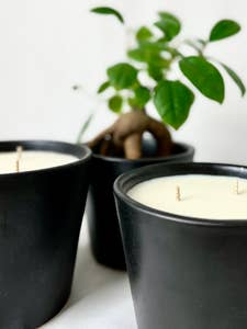 Kerze „Unschuldige Erde“ für den Großhandel von Maison Nine