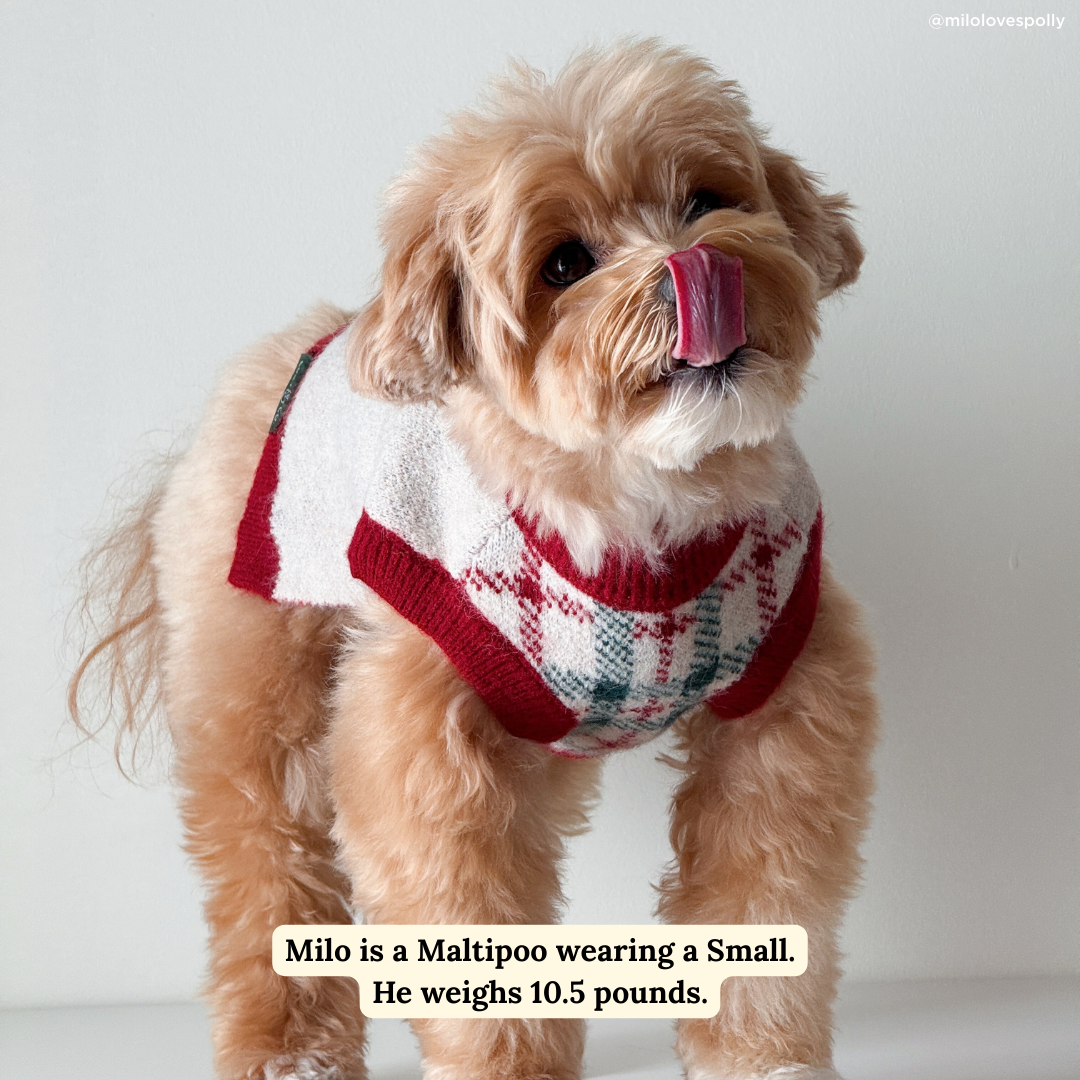 Lucy & Co. – wholesale Tröja - Hund – Snö Mycket Rolig Tröja1