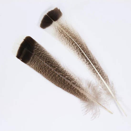 Zucker Feather Products - Wholesale Feathers - Natural Turkey Tails Selected Feathers - Black-Eggshell-Natu0