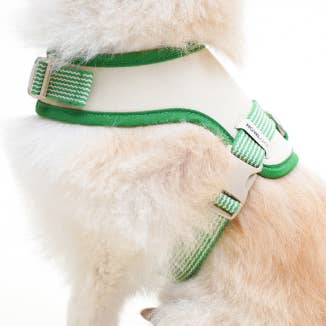 GRUNDLÆGGENDE SLID SELE for engroshandel hos HOWLPOT. USA