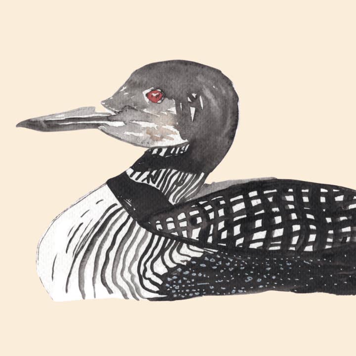 Wild Botanical Atelier - Wholesale Everyday Greeting Card - Common Loon Greeting Card1