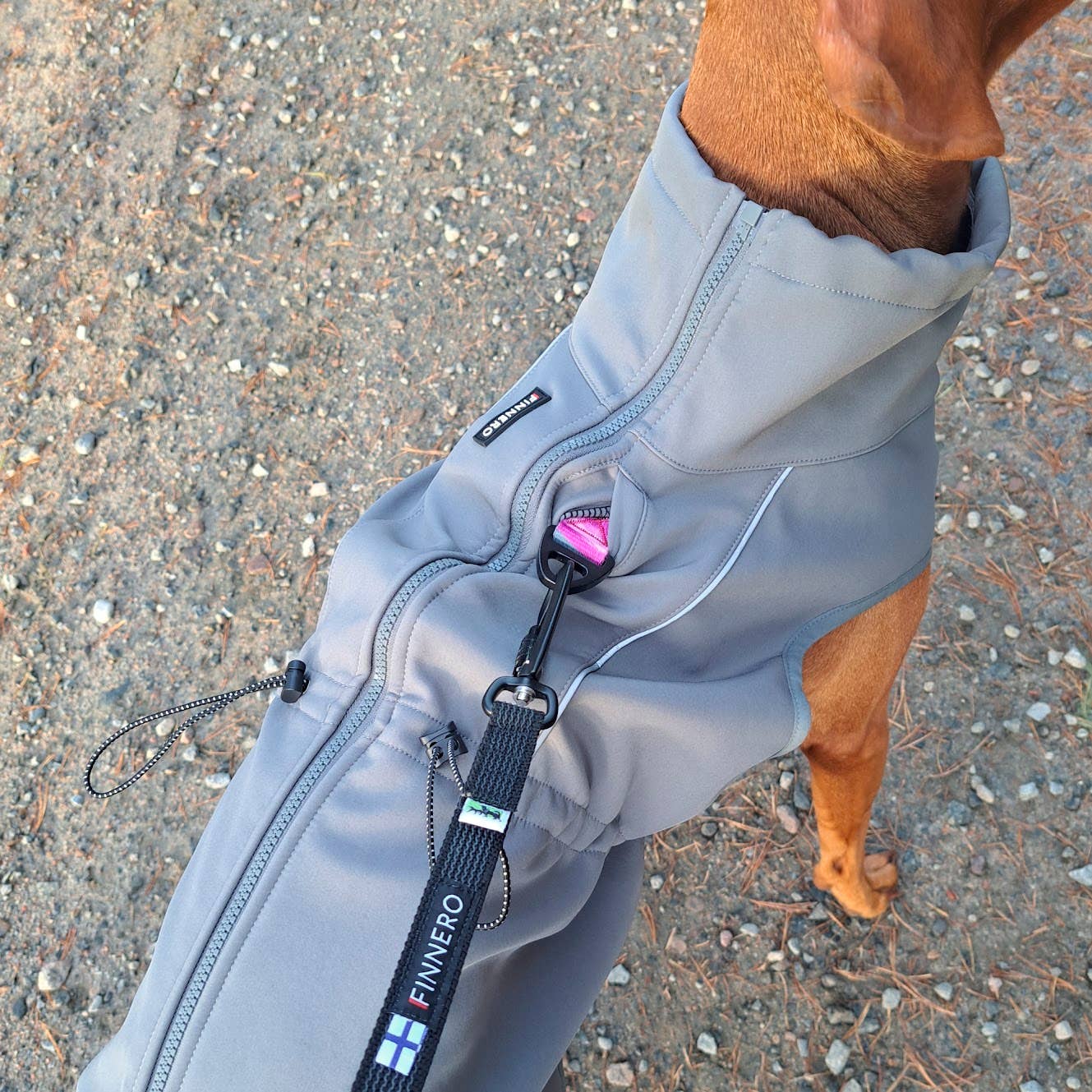 FINNERO - Wholesale Pet Jacket - Dog - UPGRADED MODEL! FINNERO SPORT Softshell Jacket for dogs9