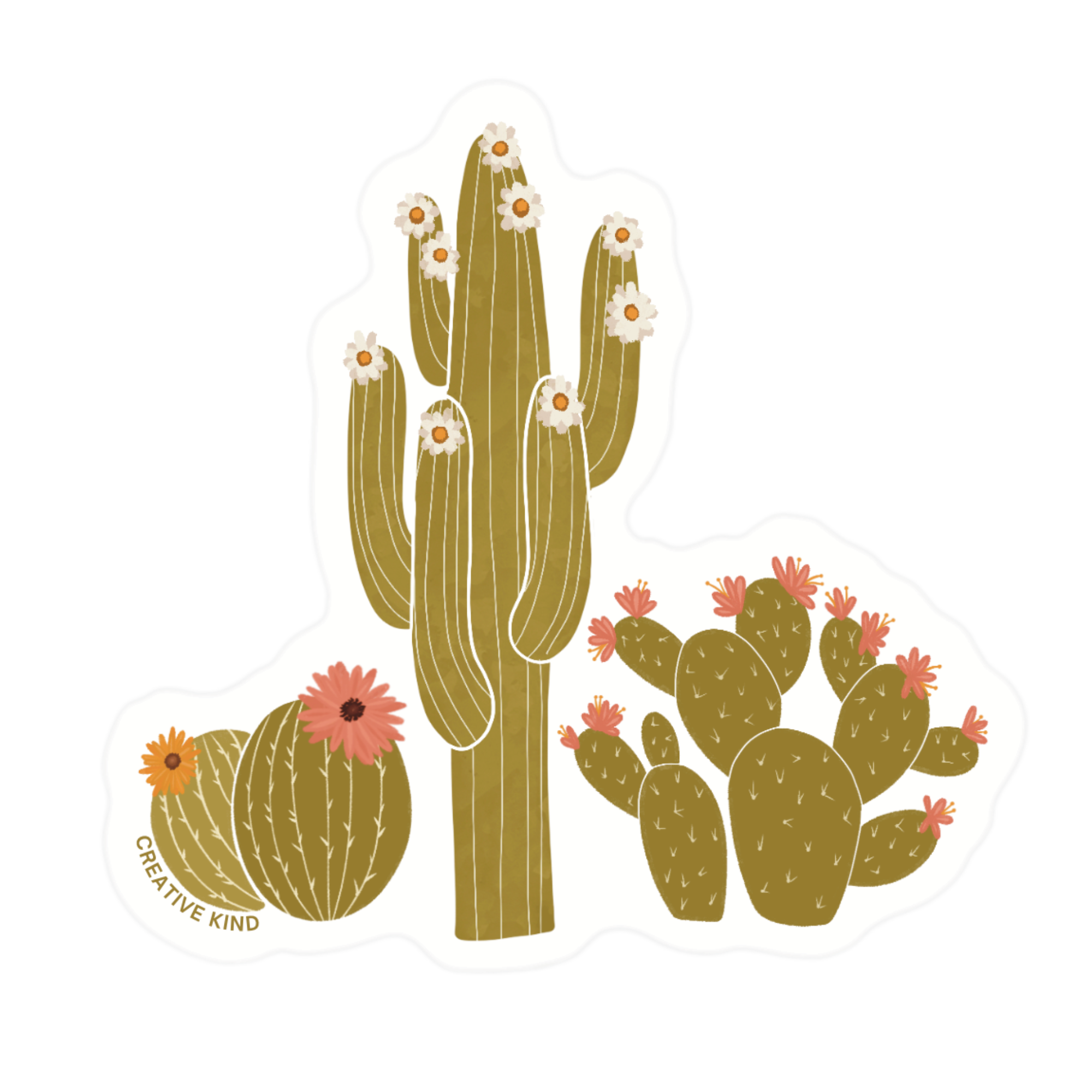 Creative Kind - Vendita all'ingrosso Adesivo - Adesivo Cactus – Trio di Cactus Rosa con Sfondo Trasparente in Vinile0