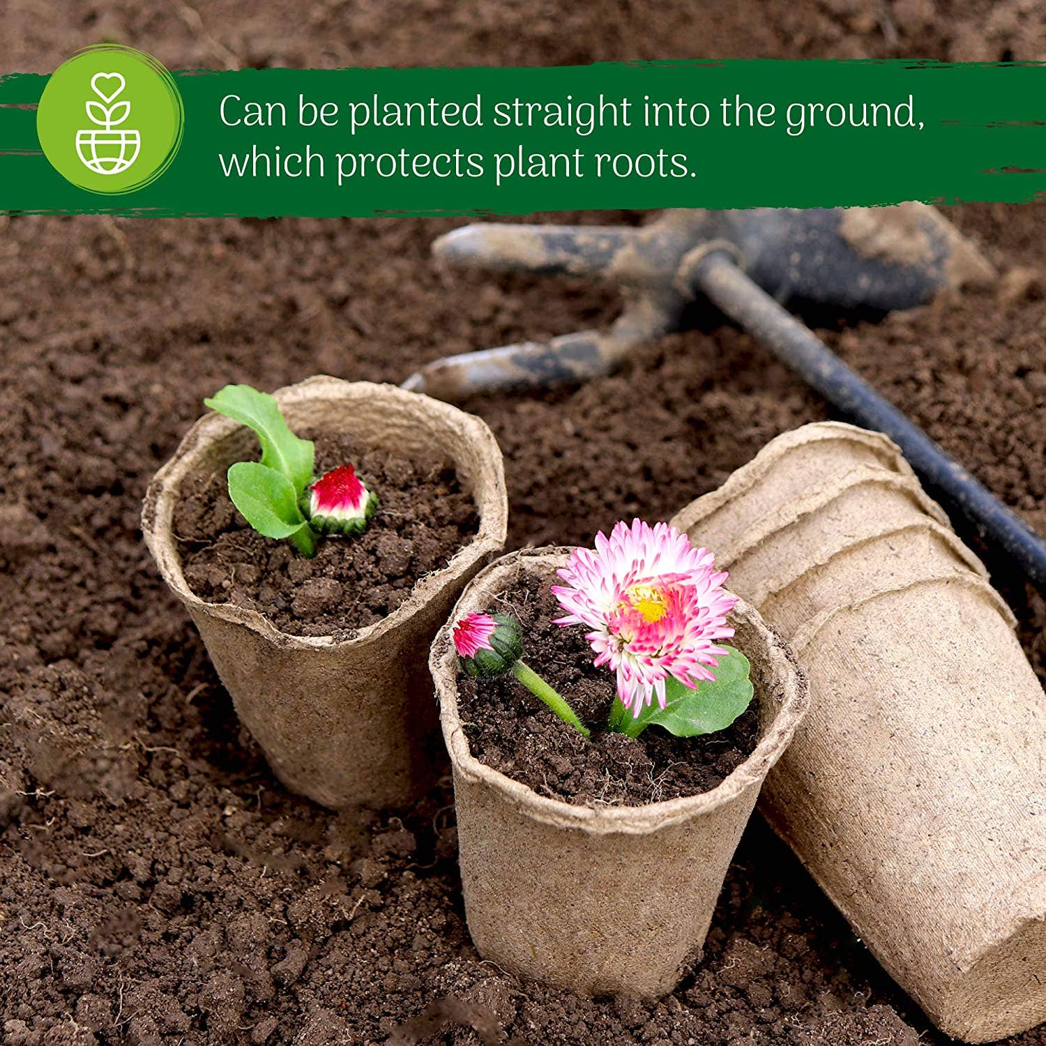 Jara Trading – wholesale Plant pot – Biodegradable Round Fibre Seedling Pots8