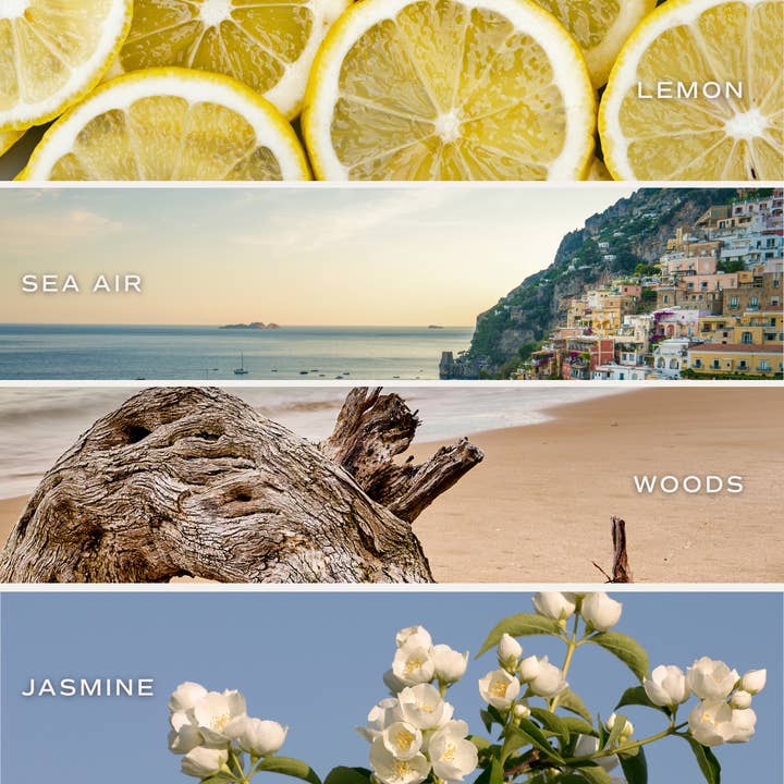 Sweet Water Decor - Wholesale Reed Diffuser - Coastal Lemon Reed Diffuser - Gifts & Home Decor3