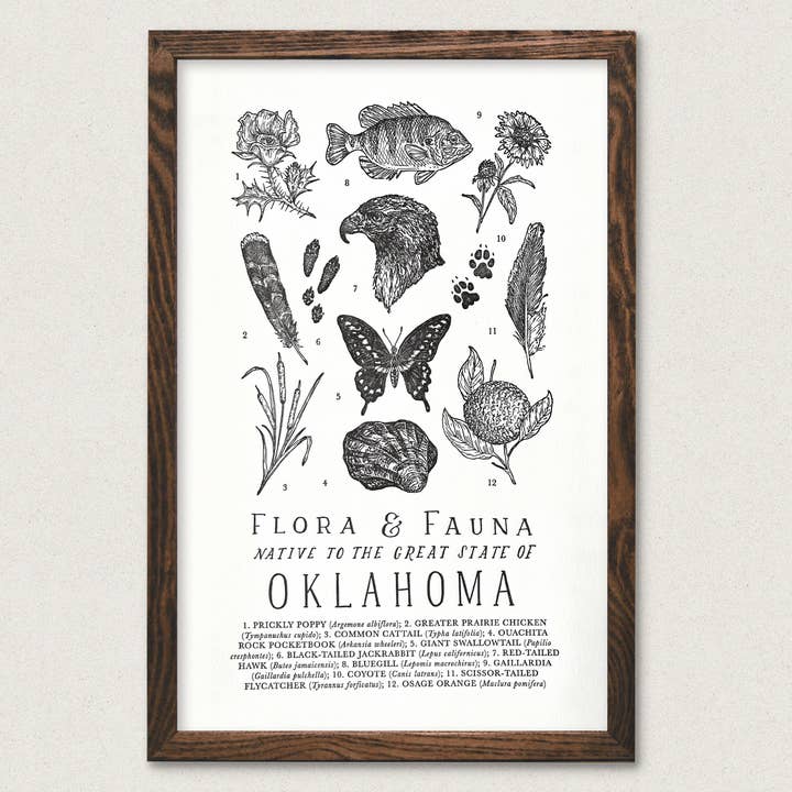 Hand-Illustrated Oklahoma Field Guide Art Print for wholesale by The Wild Wander