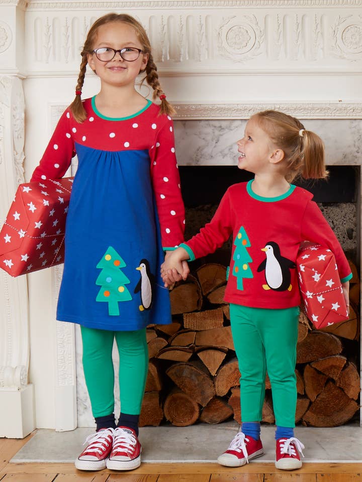 Organic Penguins' Christmas Applique T-Shirt Dress for wholesale by Toby Tiger