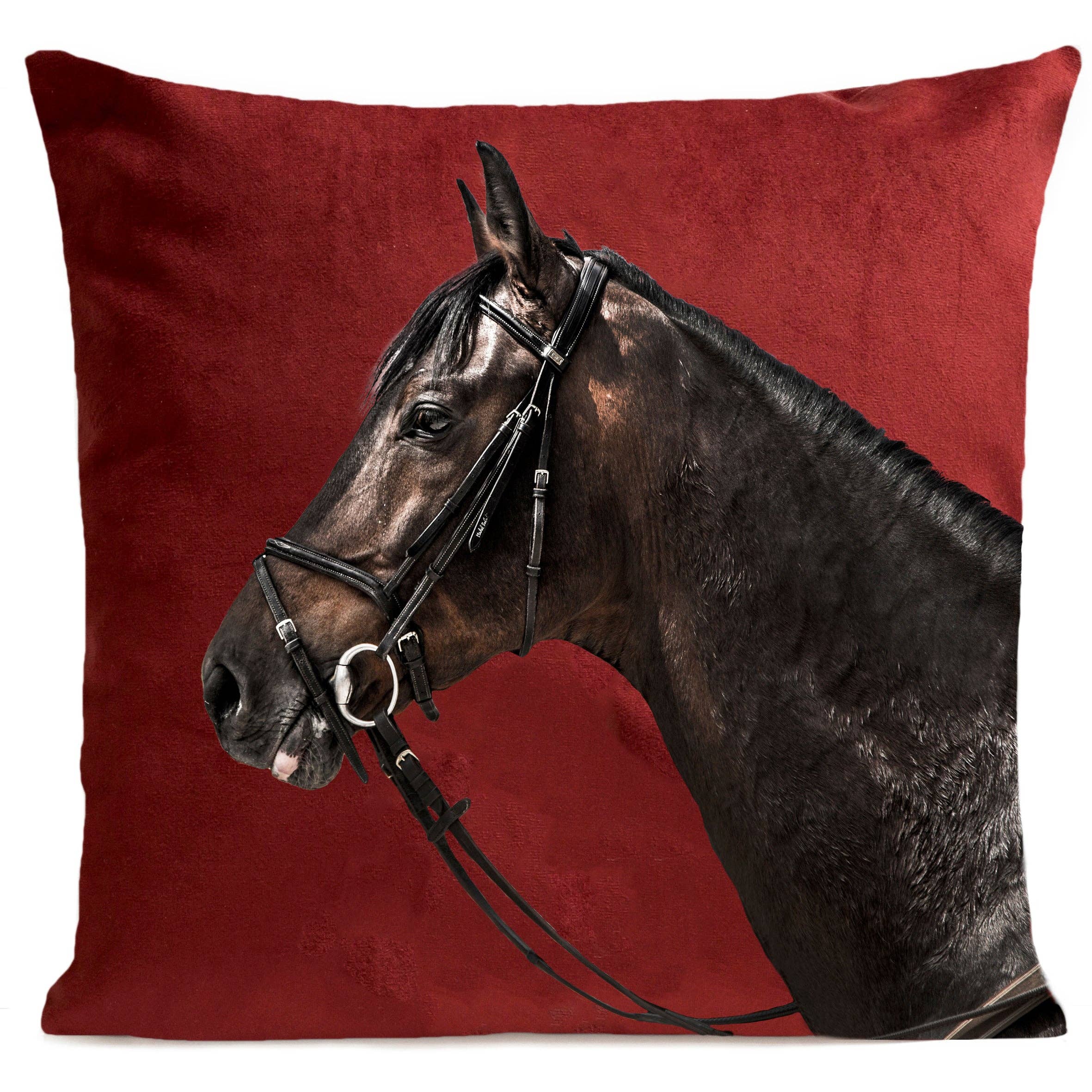 Artpilo - Wholesale Chair Cushion - Racer Cushion1