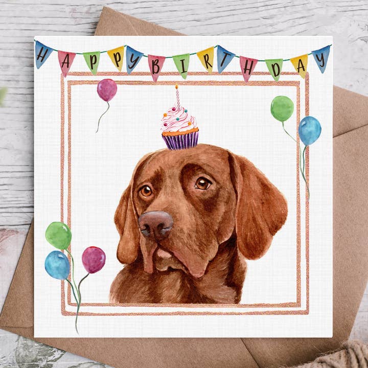 Biglietto di compleanno con labrador al cioccolato per la vendita all'ingrosso da parte di Cloud Jellybean Art