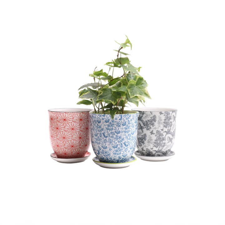 Chive - Wholesale Plant Pot - Liberte Indoor Porcelain Plant Pots