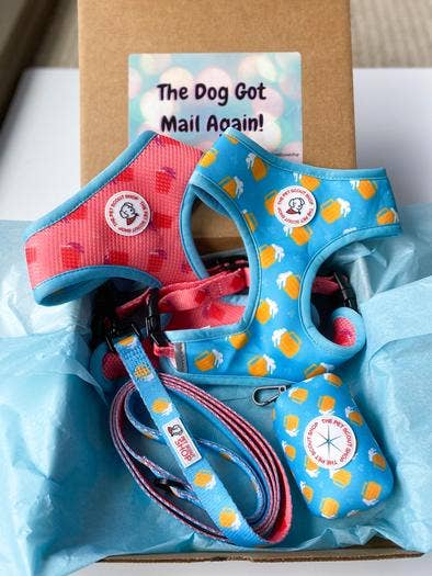 The Pet Scout Shop – trela - Cão por atacado – Chumbo de cerveja verão2