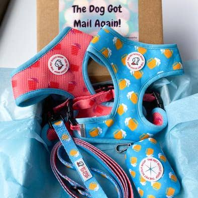 The Pet Scout Shop – trela - Cão por atacado – Chumbo de cerveja verão2