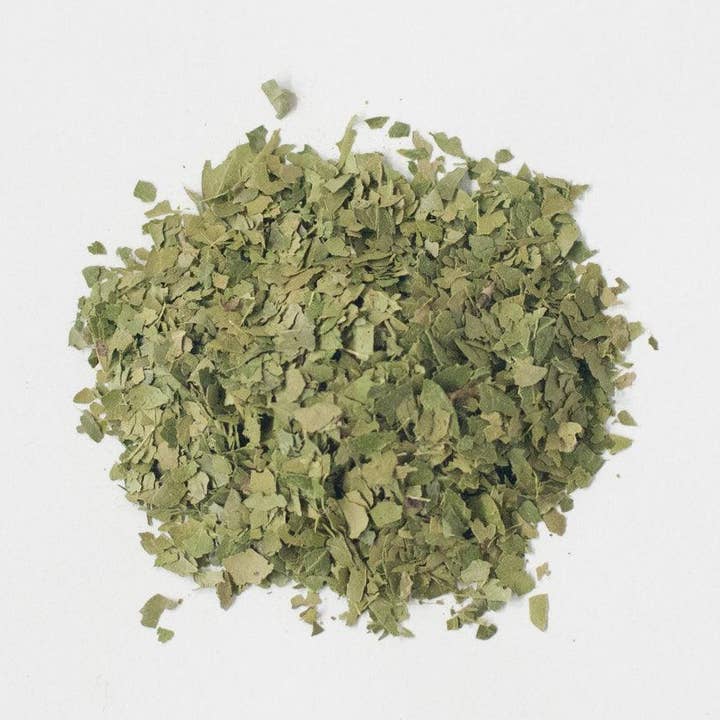 Pedernales - Green Yaupon Bulk (1 lb) for wholesale by CatSpring Yaupon