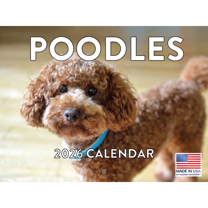 Calendário Poodle 2026 Parede Mensal por atacado de 2026 Calendars