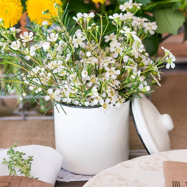 Weddingstar Inc. - Wholesale Canister - Vintage White Enamelware Canister With Lid Favor (4)