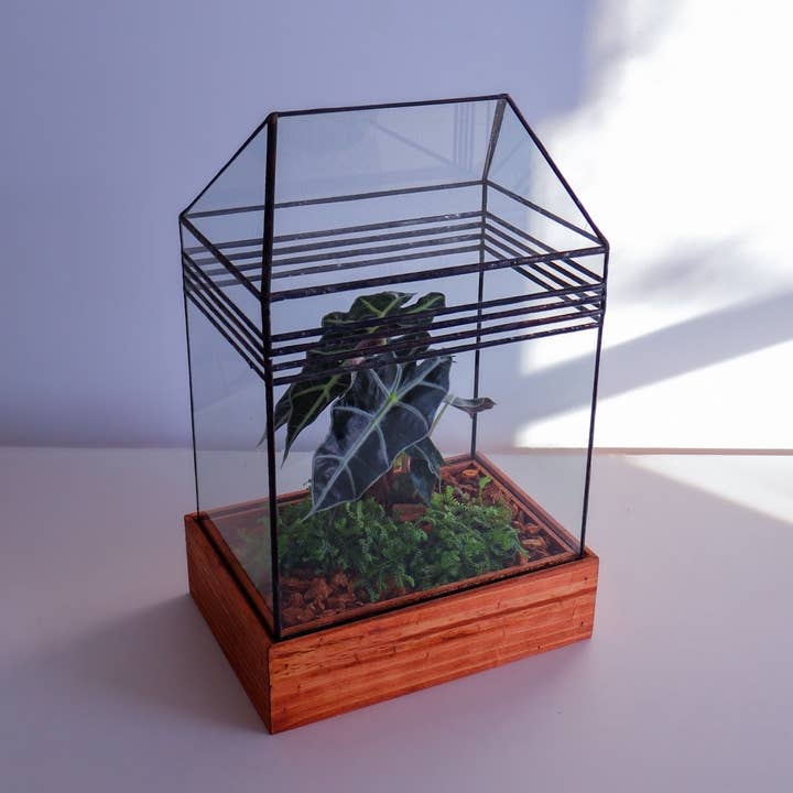 Leadhead Glass – wholesale Terrarium – Baret Handmade Stained Glass Terrarium