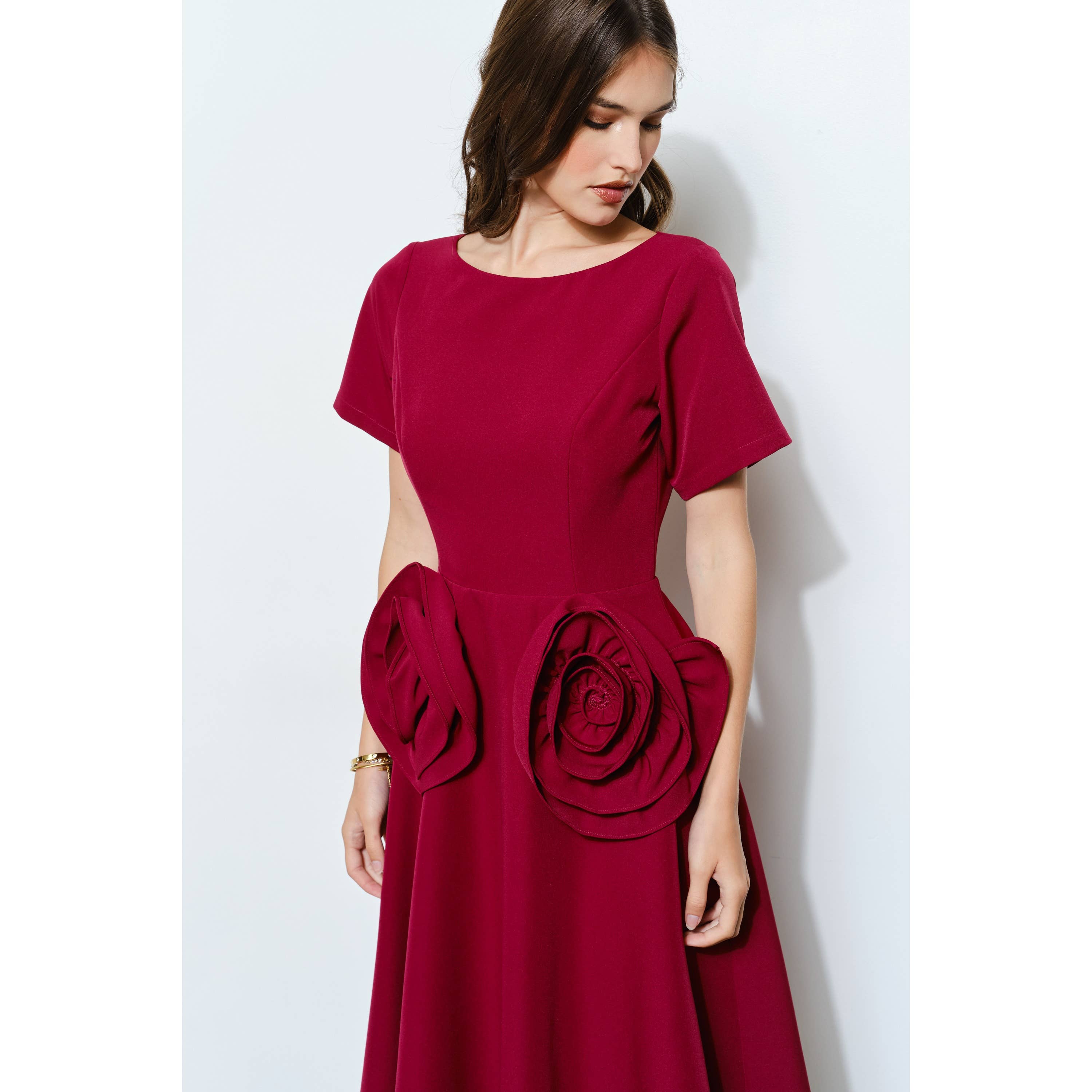INA - Wholesale Dress - Women's - Elegant Rose Applique A-Line Midi Dress10
