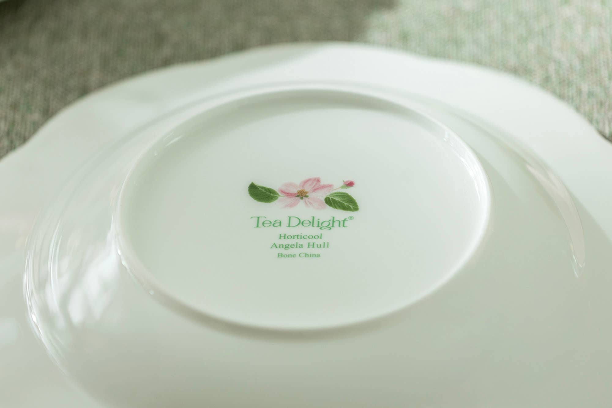 Grace Teaware - Wholesale Salad Plate - Apple Blossom Green Lattice Bone China 6.5" Appetizer Plate8