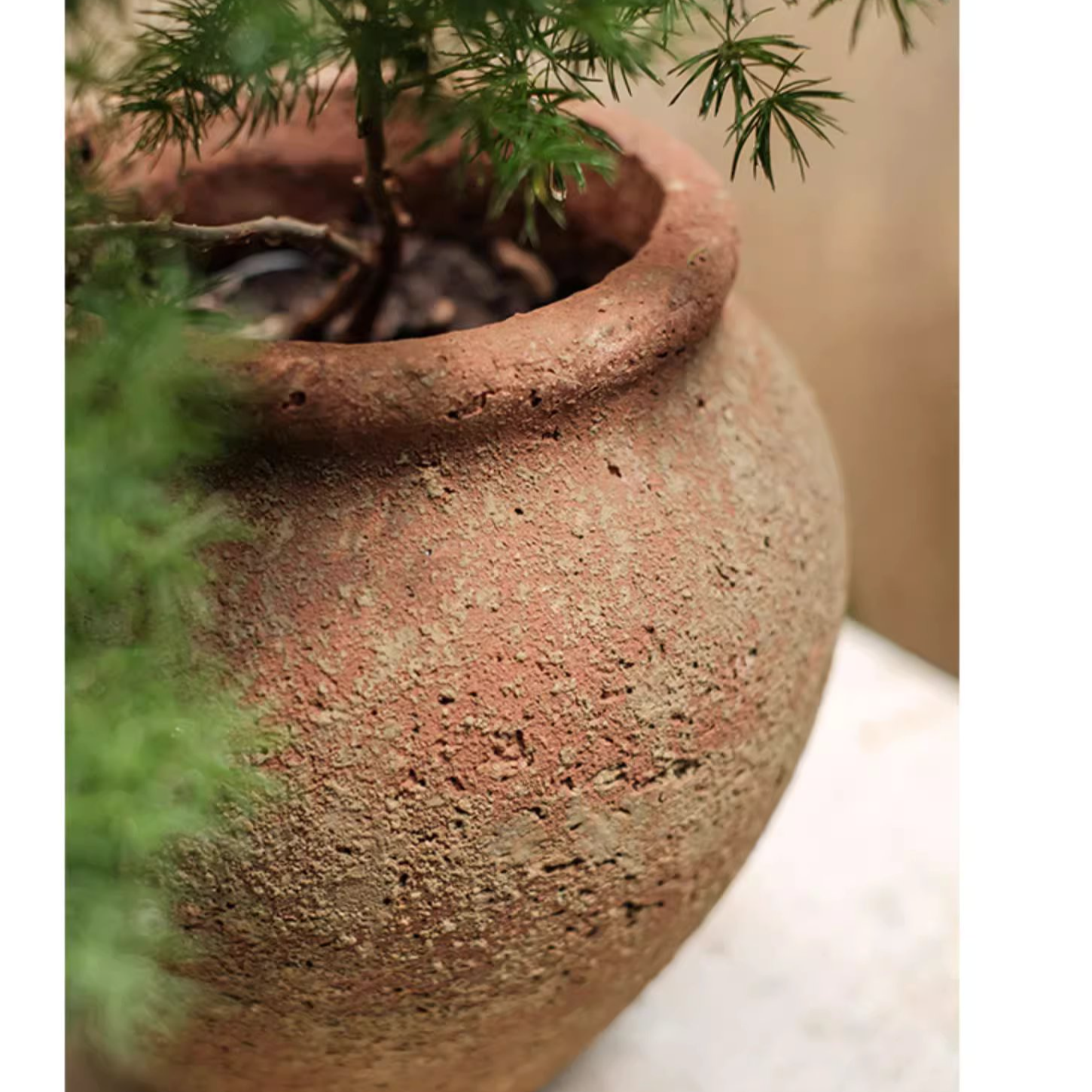 Rustic Reach - Vente Pot - Pot de fleurs en ciment vieilli11