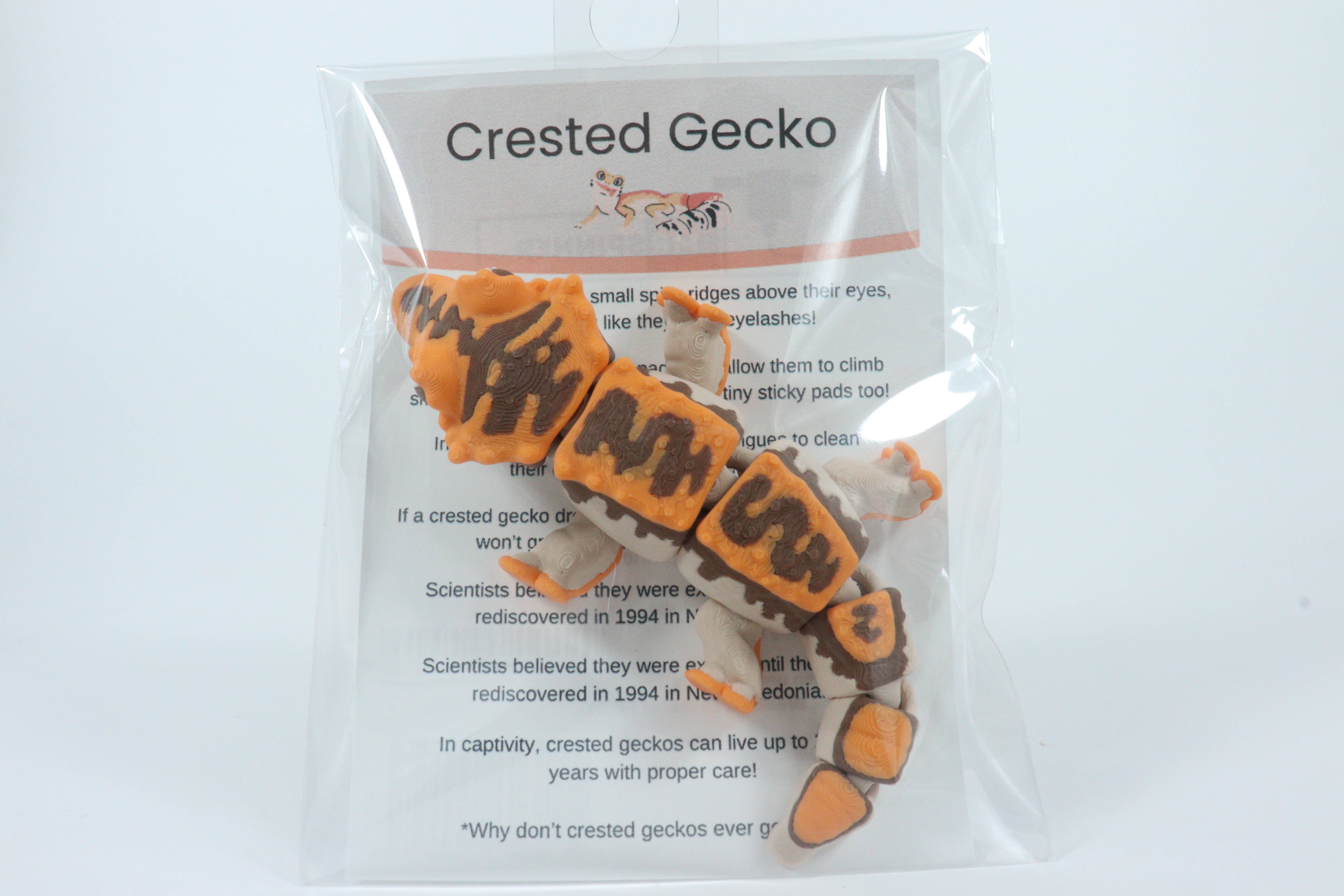 MrSpinner - Wholesale Fidget Toy - Kids - Fidget Friends Crested Gecko – 3D Printed Toy or Keychain