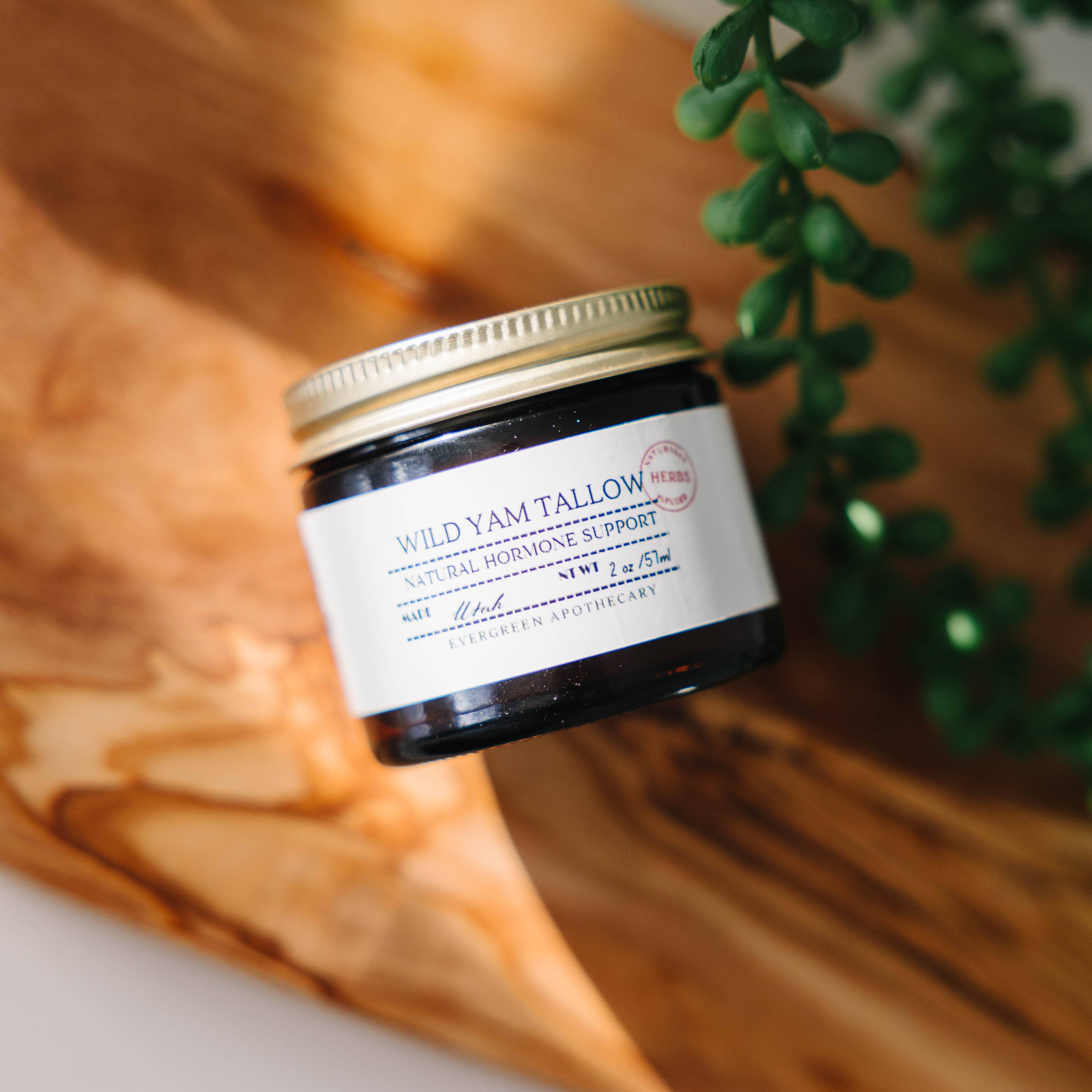 Evergreen Apothecary - Vendita all'ingrosso Unguenti/Balsami/Creme curative - Wild Yam Tallow (prodotto con sego di Lady May)9