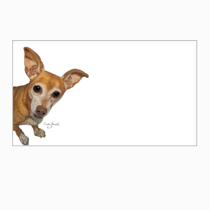Chihuahua “Love Notes” Pack of 60 Tiny Cards | Cute Dog Notes for wholesale by Forever Caroline LLC