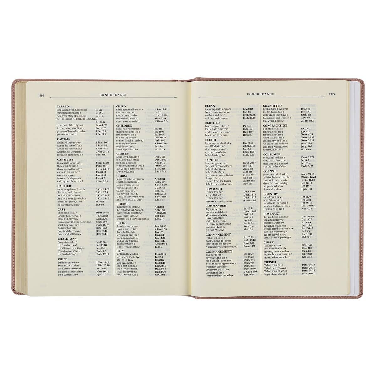 Christian Art Gifts - Wholesale Religion - KJV Note-taking Bible LP Faux Leather HC, Mauve7