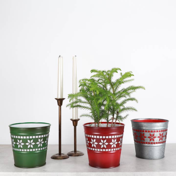 Thorsen's Greenhouse - Wholesale Plant Pot - Winter Star Metal Pot for Houseplants - 4" and 6" Options4