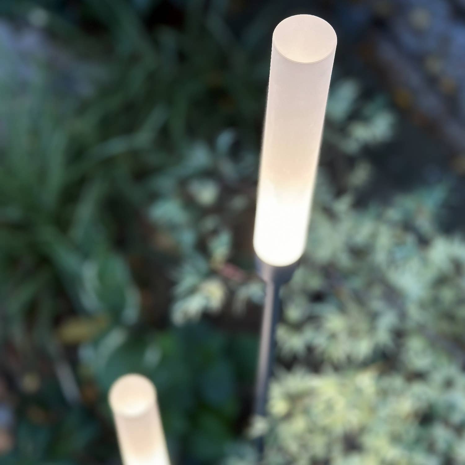 LightsOn - Vendita all'ingrosso Luce per esterni/da giardino - Gelo2