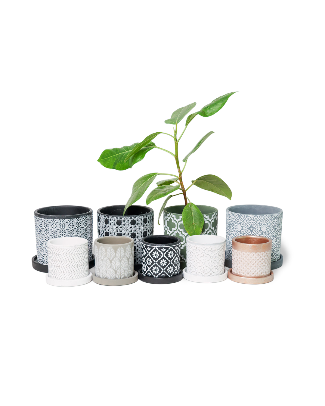 Chive - Wholesale Plant Pot - Balter Succulent Containers Cactus Pot And Saucer11